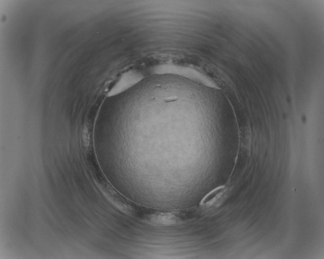 X0000083040086200702161717