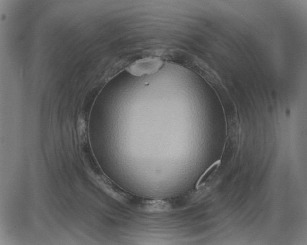 X0000083040087200702161717