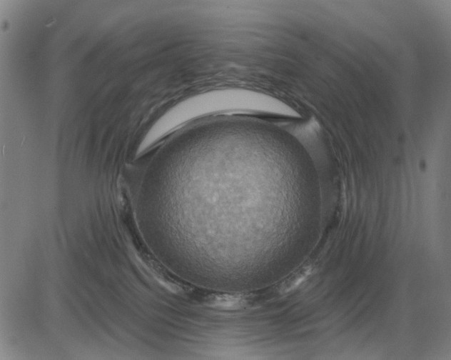 X0000083040088200702161717