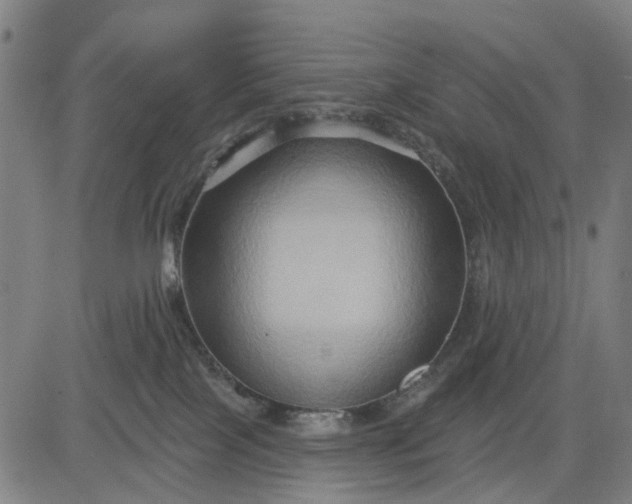 X0000083040089200702161717