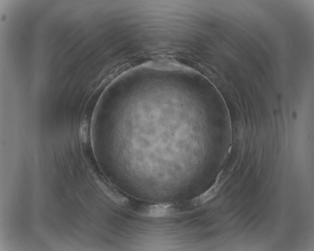 X0000083040090200702161717