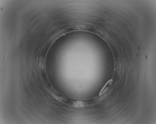 X0000083040091200702161717