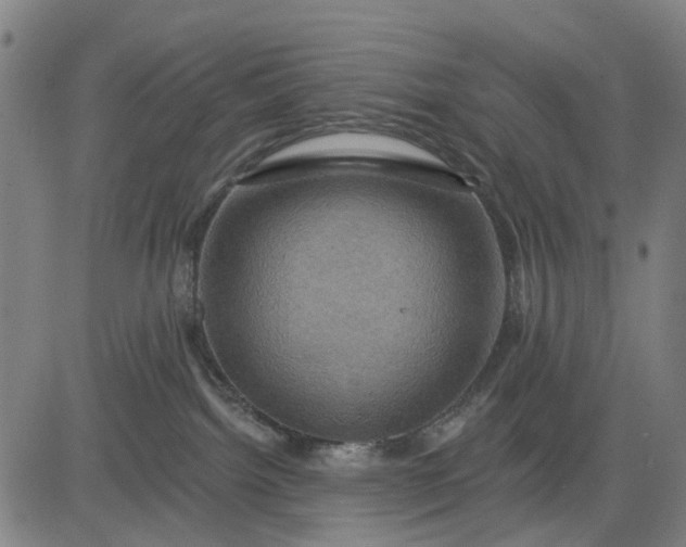 X0000083040092200702161717