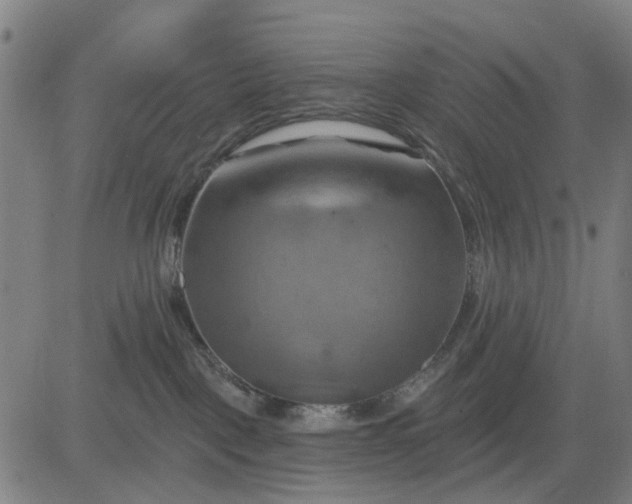 X0000083040093200702161717