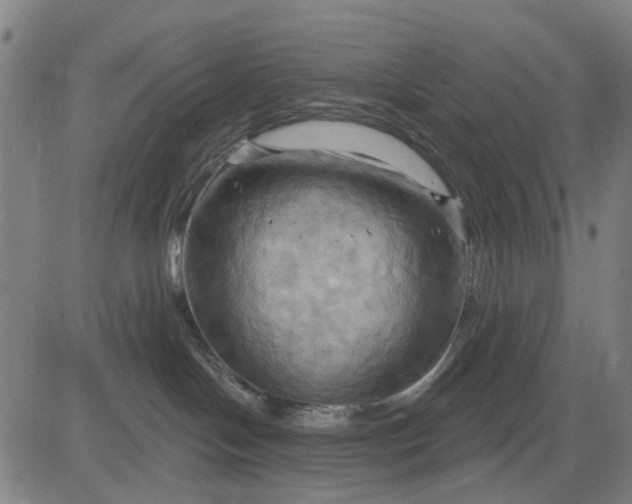 X0000083040094200702161717