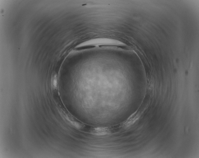 X0000083040095200702161717