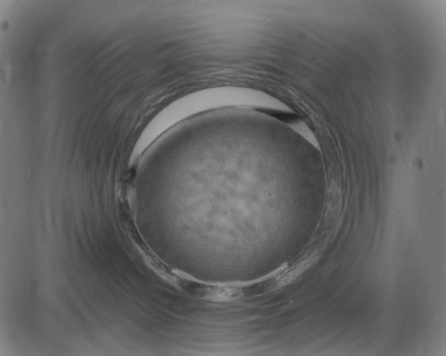 X0000083040096200702161717