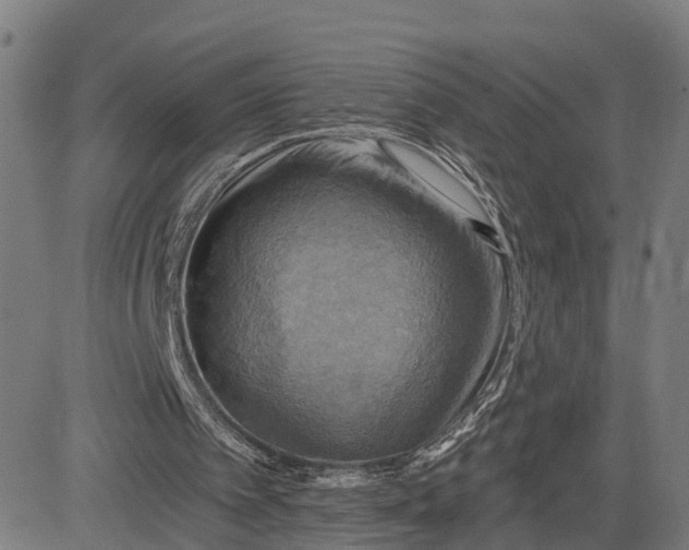 X0000083040097200702161716