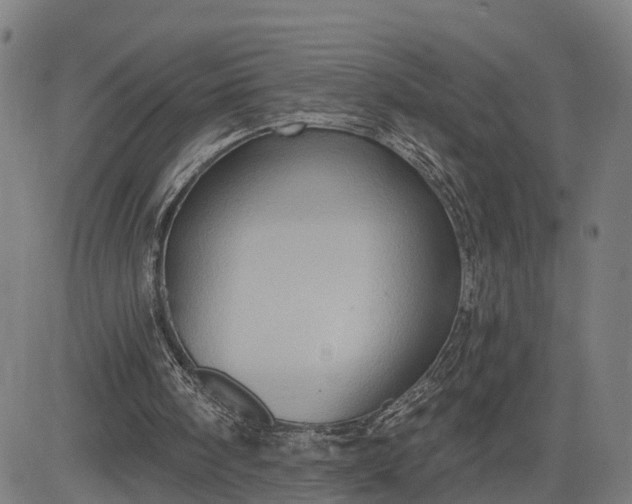 X0000083040098200702161716