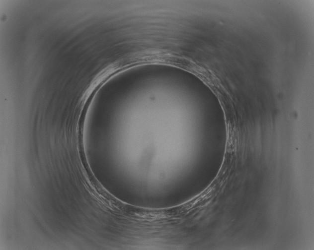 X0000083040099200702161716