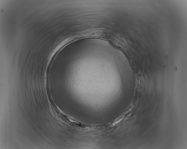 X0000083040100200702161716