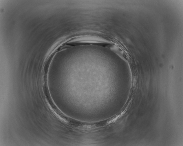 X0000083040101200702161716