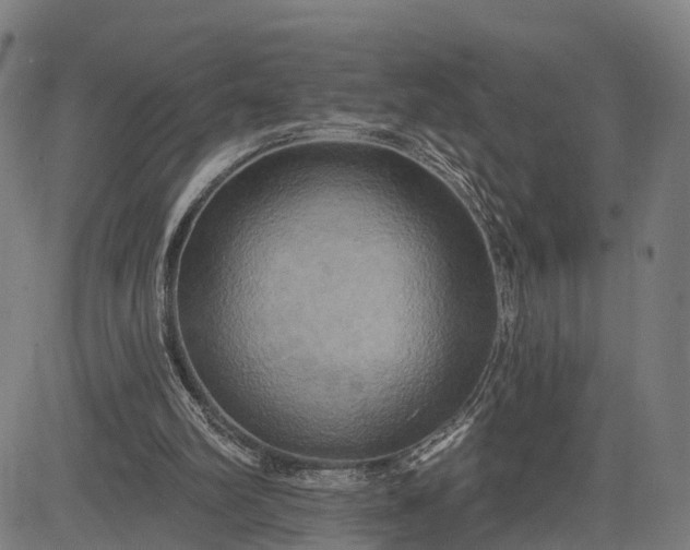 X0000083040102200702161716