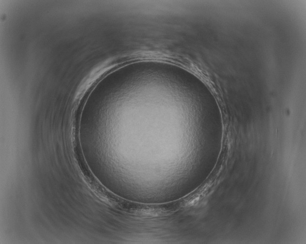 X0000083040103200702161716