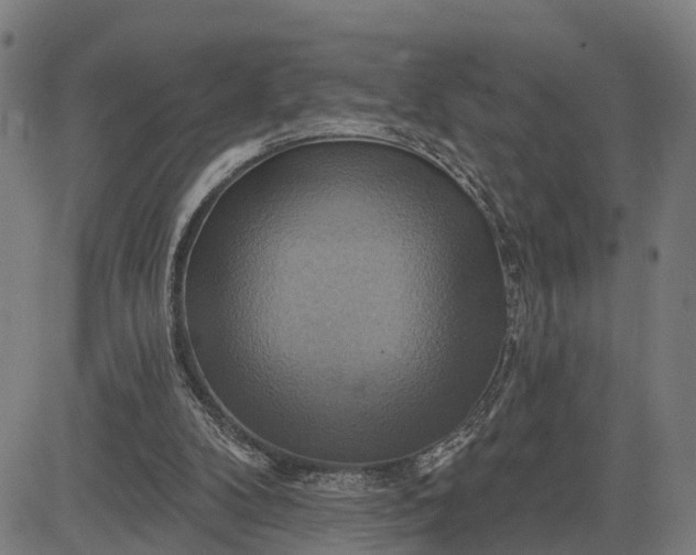 X0000083040104200702161716