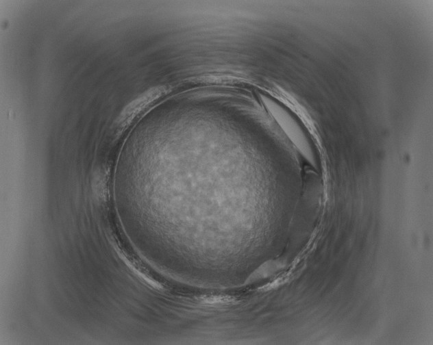 X0000083040105200702161716