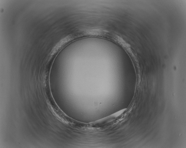 X0000083040106200702161716