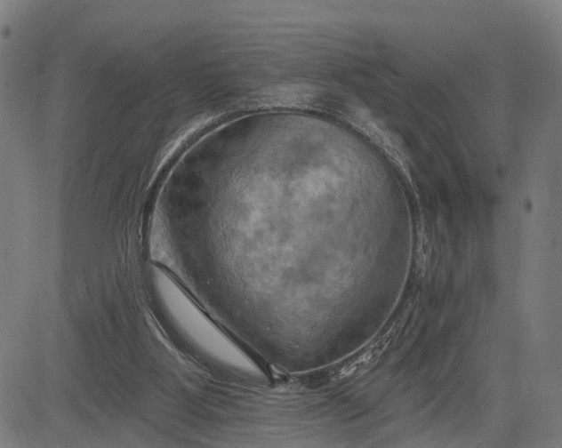 X0000083040107200702161716