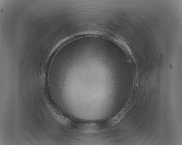 X0000083040108200702161716