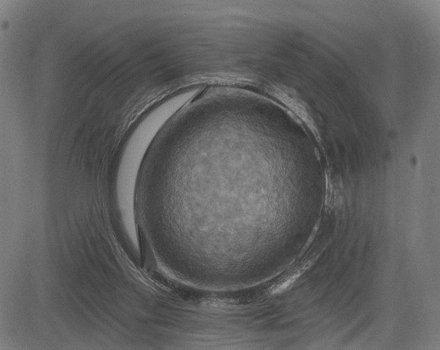 X0000083040109200702161716