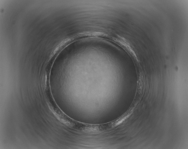 X0000083040110200702161716