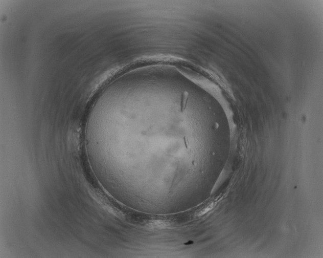 X0000083040111200702161716