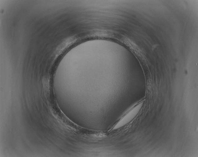 X0000083040112200702161716