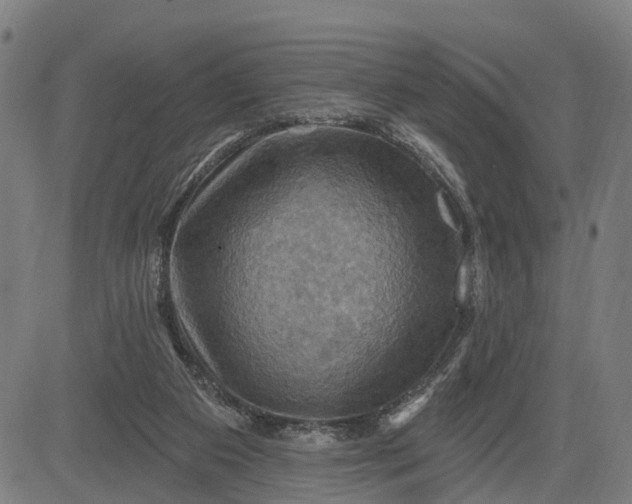 X0000083040113200702161716