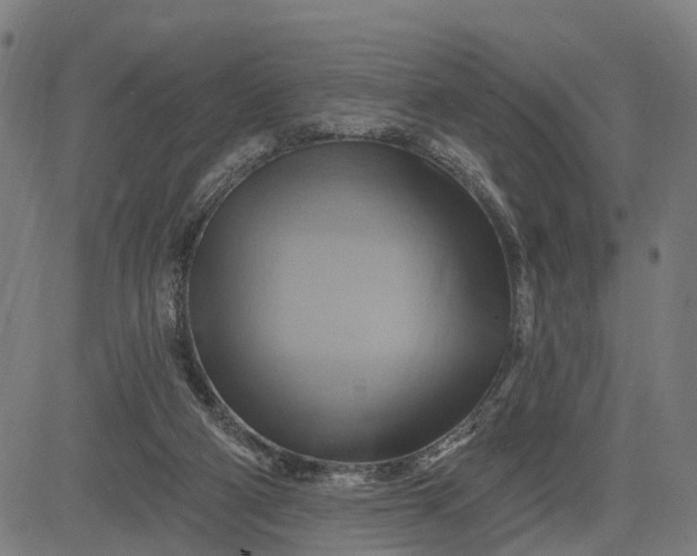 X0000083040114200702161716