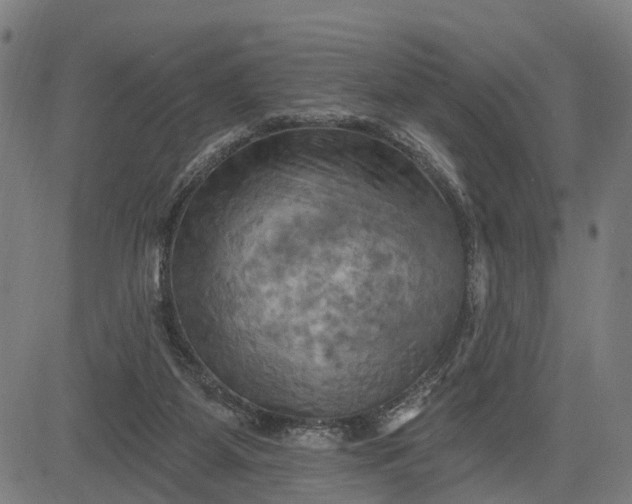 X0000083040115200702161716