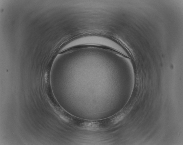 X0000083040117200702161716