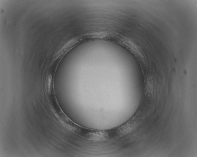 X0000083040118200702161716