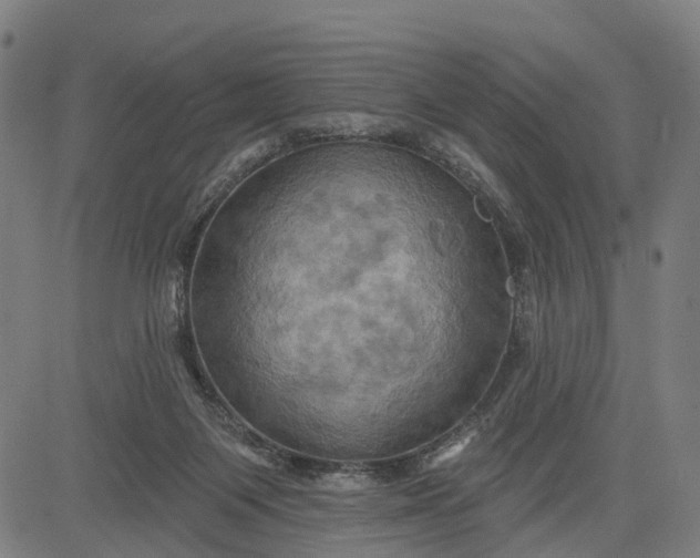 X0000083040119200702161716