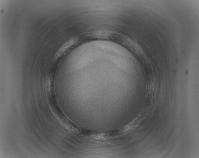 X0000083040120200702161716