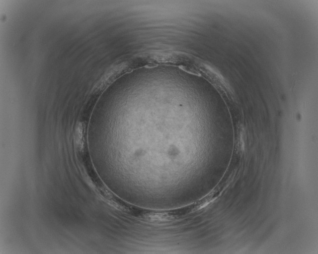 X0000083040121200702161716