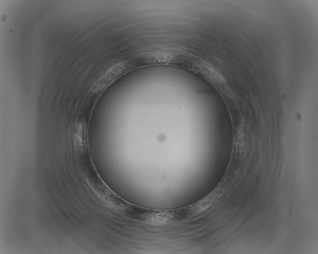 X0000083040122200702161716