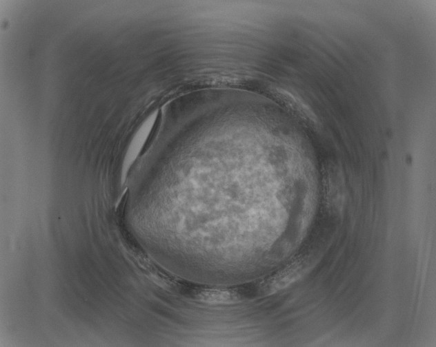 X0000083040123200702161716