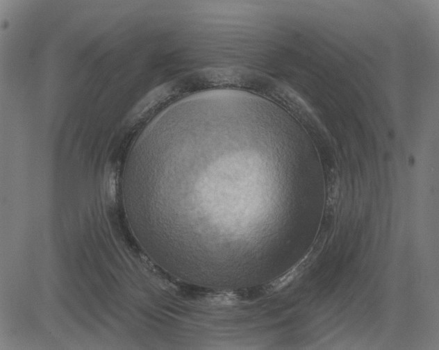 X0000083040124200702161716