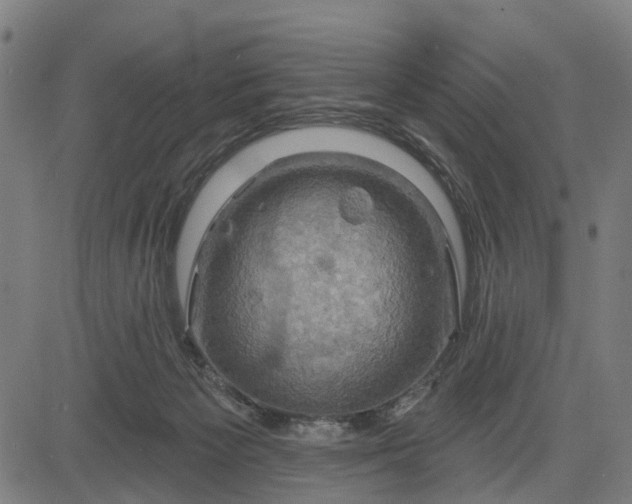 X0000083040125200702161716