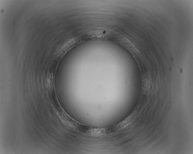 X0000083040126200702161716