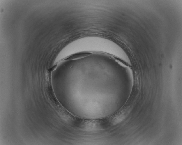 X0000083040127200702161716