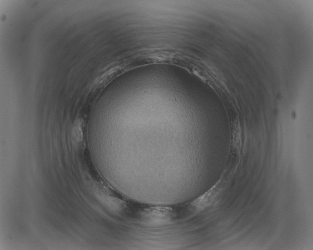 X0000083040128200702161716