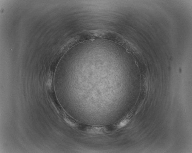 X0000083040129200702161716