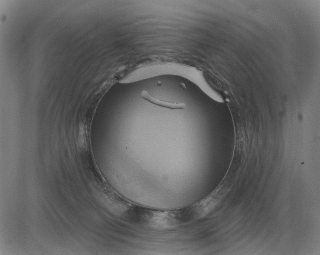 X0000083040130200702161716