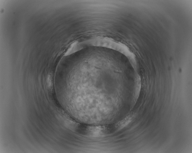 X0000083040131200702161716