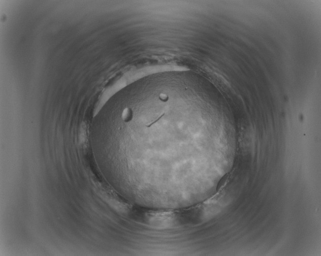 X0000083040132200702161716