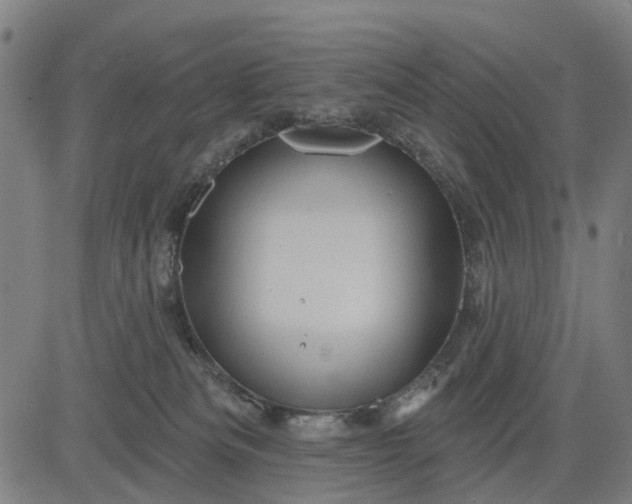 X0000083040133200702161716