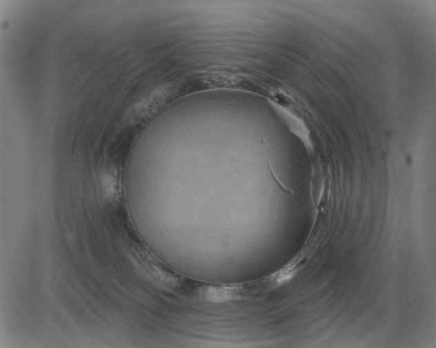 X0000083040134200702161716