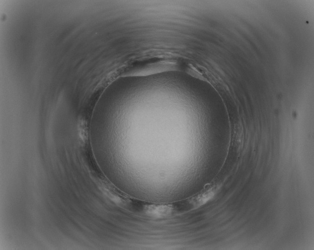 X0000083040135200702161716