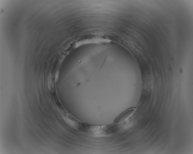 X0000083040136200702161716